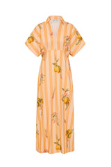 Jasmine Dress Citrus Stripe