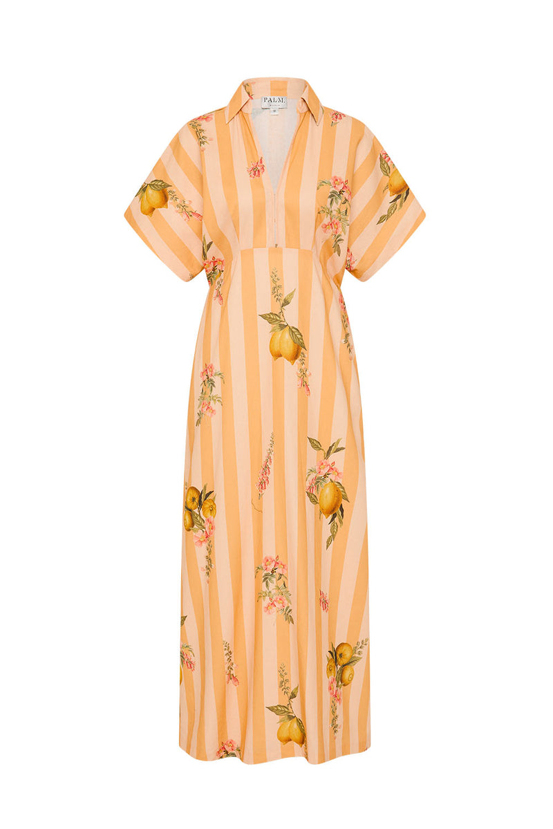 Jasmine Dress Citrus Stripe