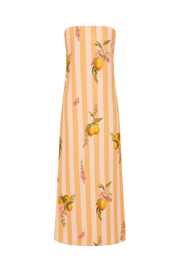 Alessia Dress Citrus Stripe