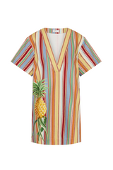 Lennon Mini Dress Anana Stripe