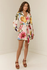 Quieta Mini Dress Rosetta