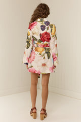 Quieta Mini Dress Rosetta