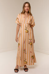 Jasmine Dress Citrus Stripe