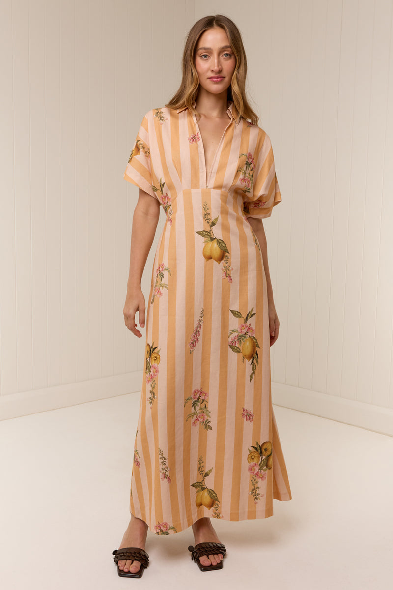 Jasmine Dress Citrus Stripe