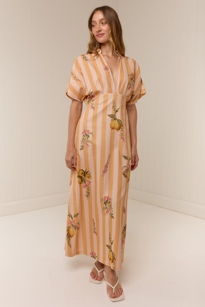 Jasmine Dress Citrus Stripe