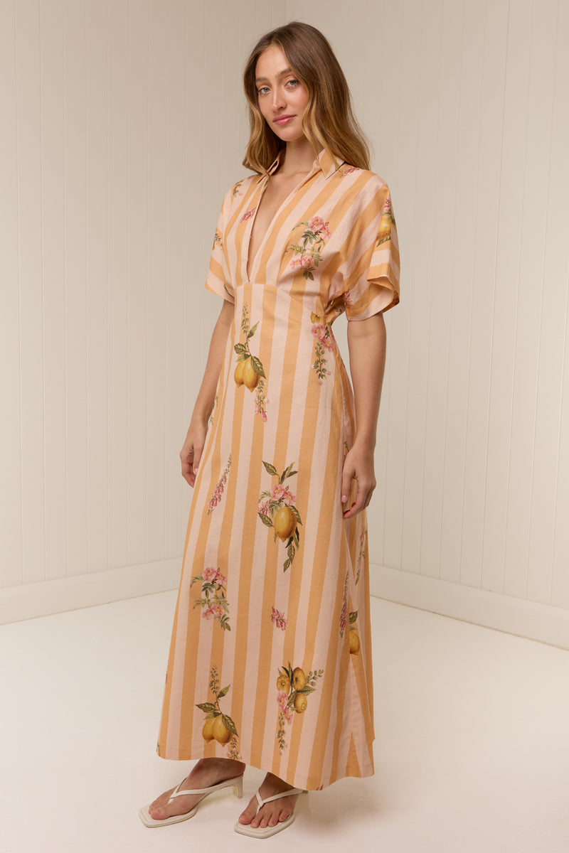 Jasmine Dress Citrus Stripe