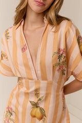 Jasmine Dress Citrus Stripe