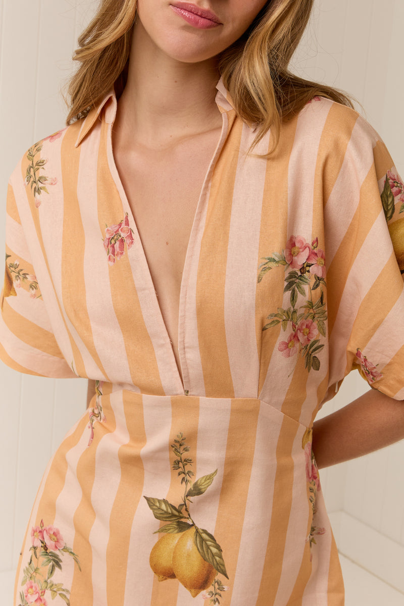 Jasmine Dress Citrus Stripe