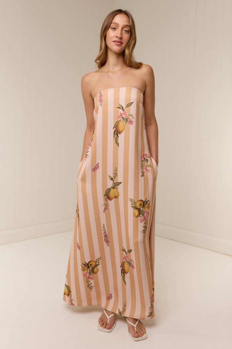 Alessia Dress Citrus Stripe
