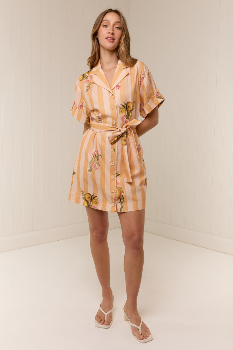 Rey Dress Citrus Stripe