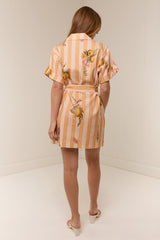 Rey Dress Citrus Stripe