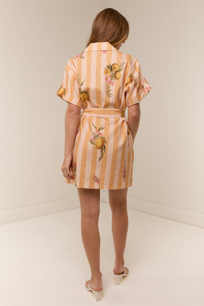 Rey Dress Citrus Stripe