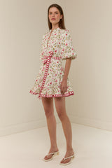 Ruba Mini Dress Pink Petals